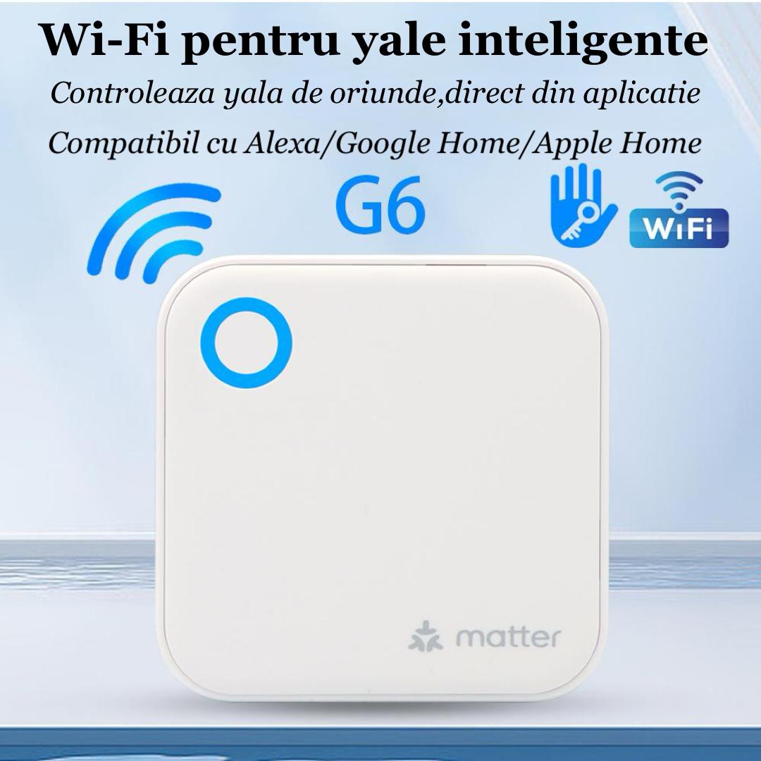 SmartLink 6G