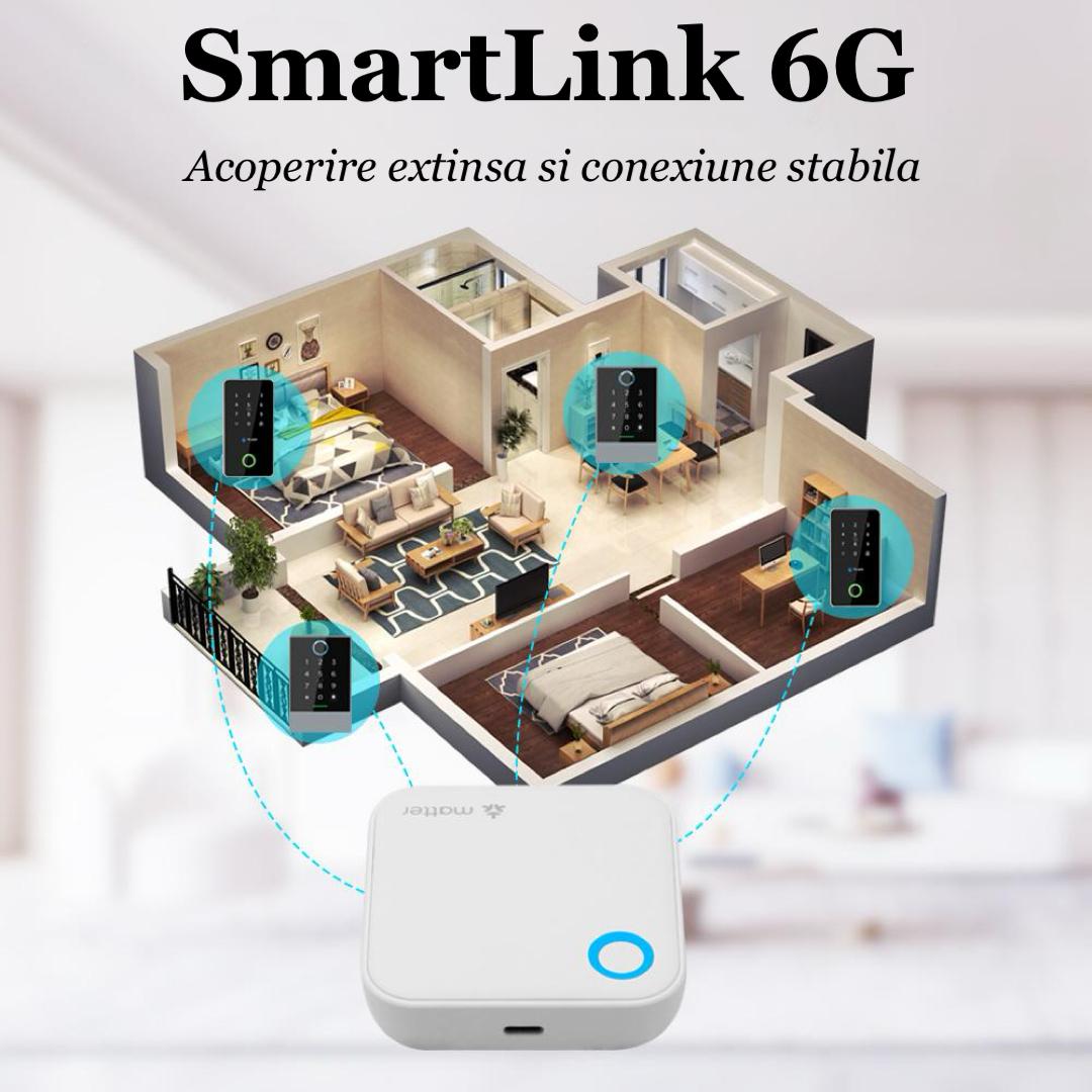 SmartLink 6G