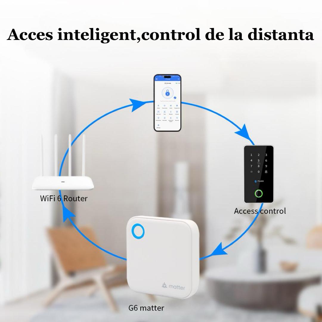 SmartLink 6G